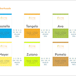 Citro Brand Guide-07
