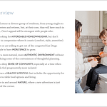 Citro Brand Guide-18