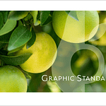 Citro Brand Guide-23