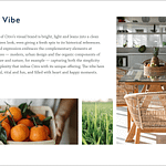 Citro Brand Guide-24