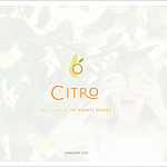 Citro Brand Guide-29
