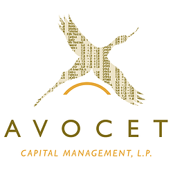 Logo-avocet2